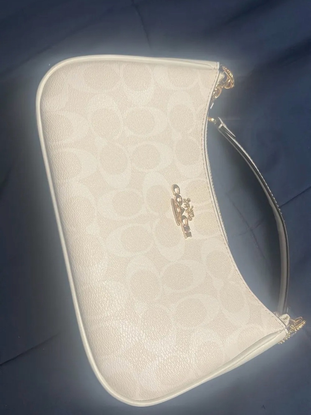 Coach Signature Teri Shoulder Bag in Chalk